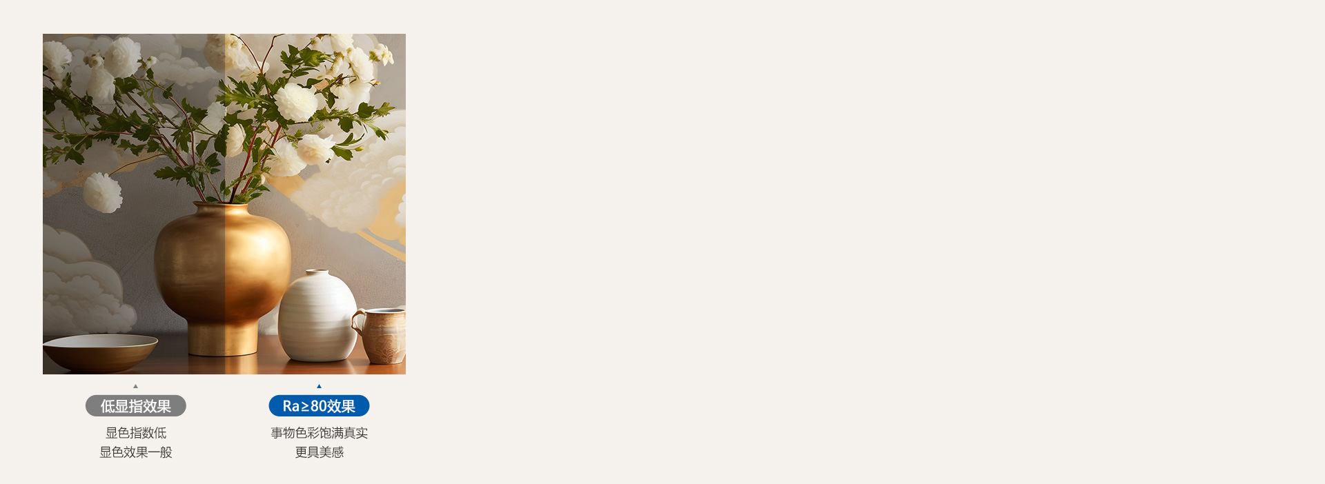 真實(shí)顯色，照出事物本真色彩 光線下事物...